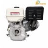 Motor Gasolina DE 7 HP